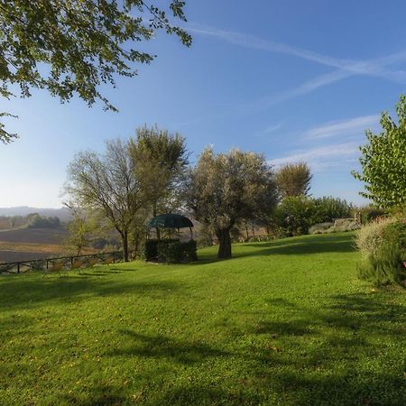 Vigna Sant' Amico Country House Morro d'Alba Luaran gambar