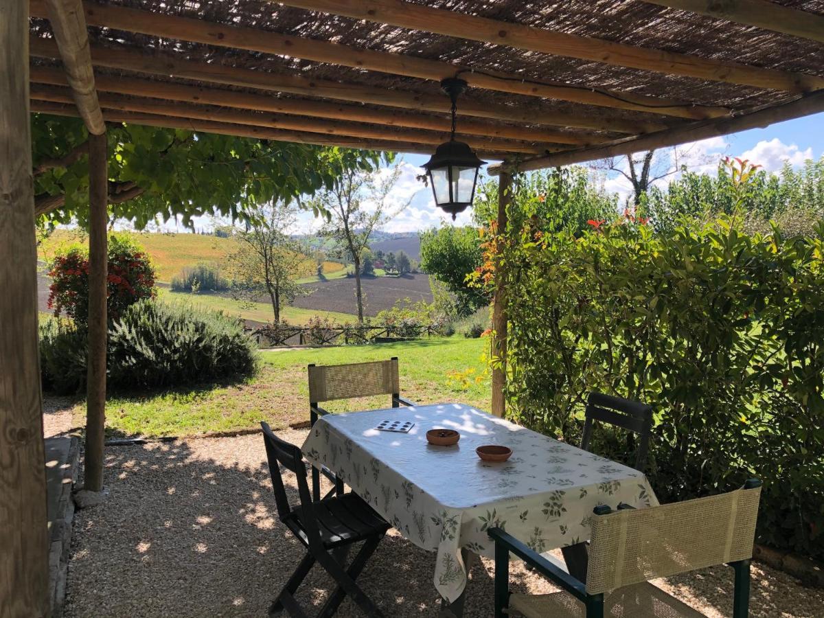 Vigna Sant' Amico Country House Morro d'Alba Luaran gambar