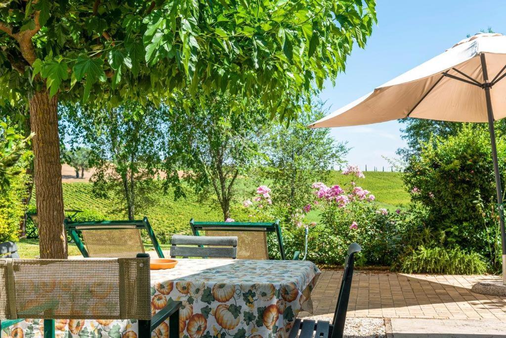 Vigna Sant' Amico Country House Morro d'Alba Luaran gambar
