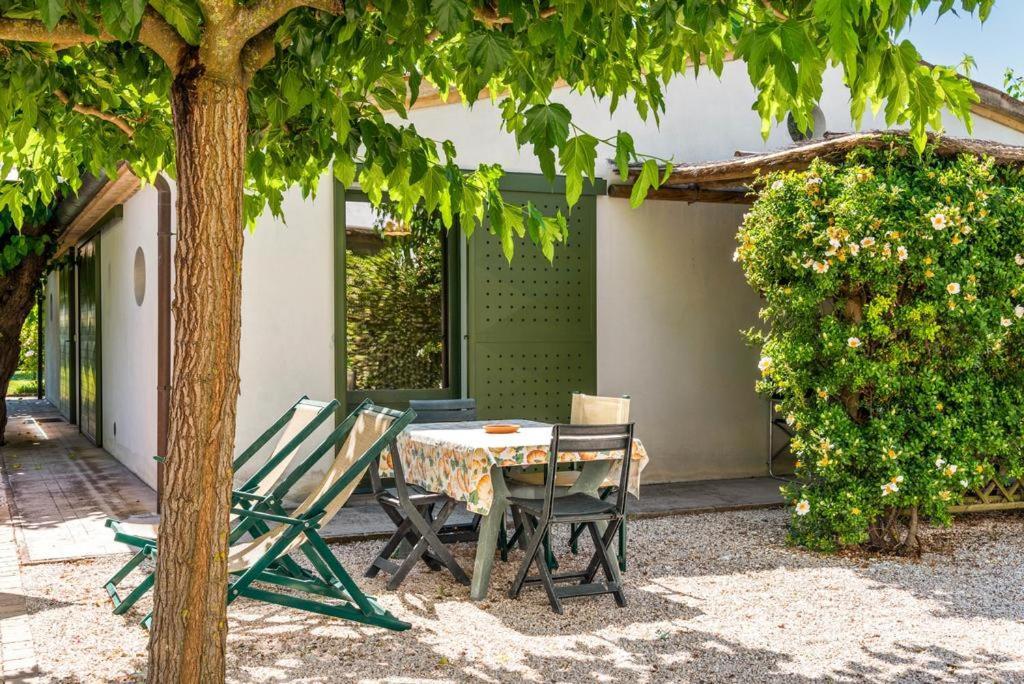 Vigna Sant' Amico Country House Morro d'Alba Luaran gambar