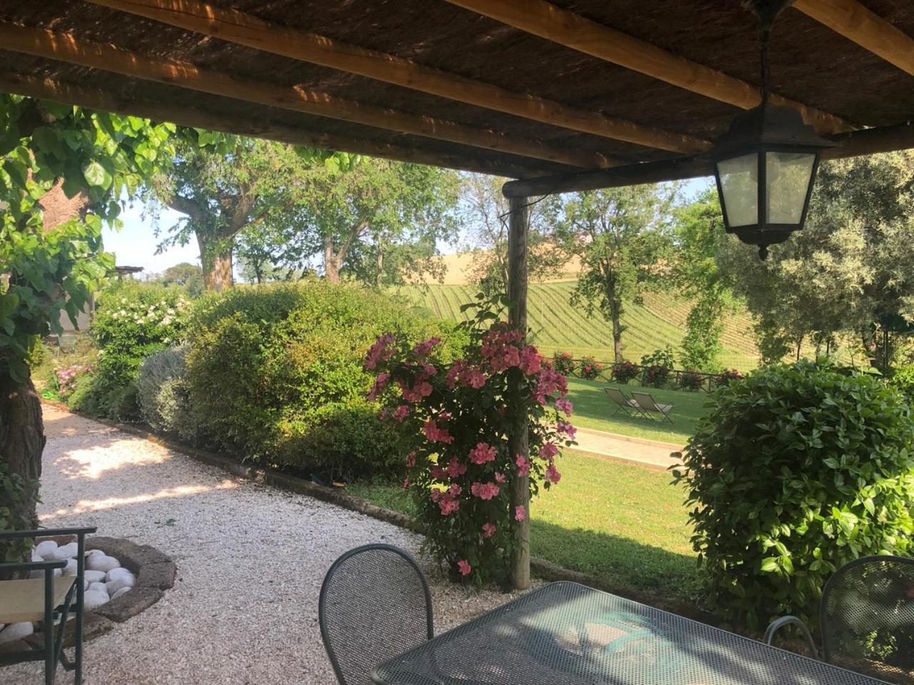 Vigna Sant' Amico Country House Morro d'Alba Luaran gambar