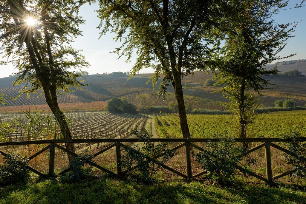 Vigna Sant' Amico Country House Morro d'Alba Luaran gambar
