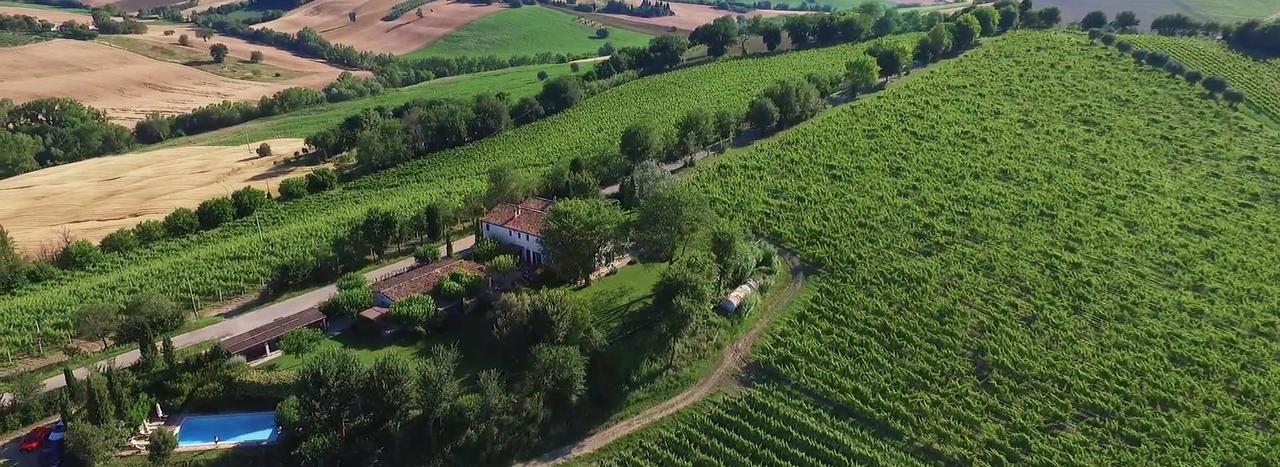 Vigna Sant' Amico Country House Morro d'Alba Luaran gambar